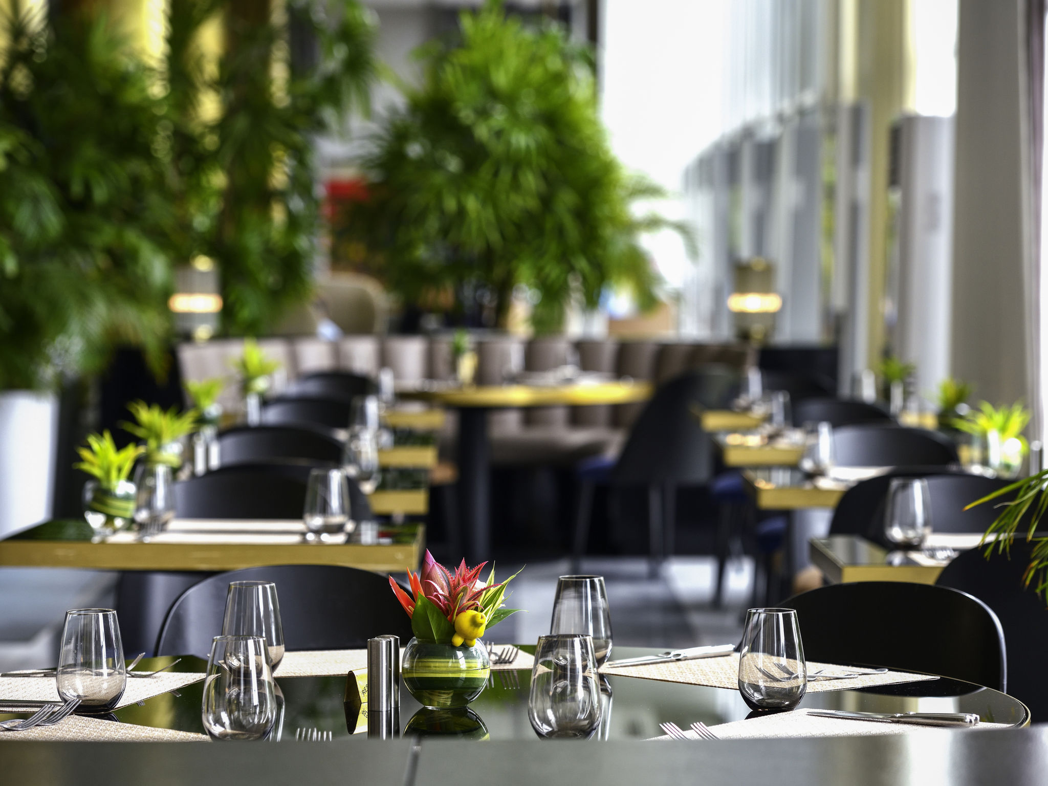 Book the Best Restaurants in Ivory Coast Nearby